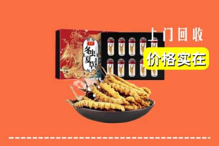 东营市垦利回收冬虫夏草